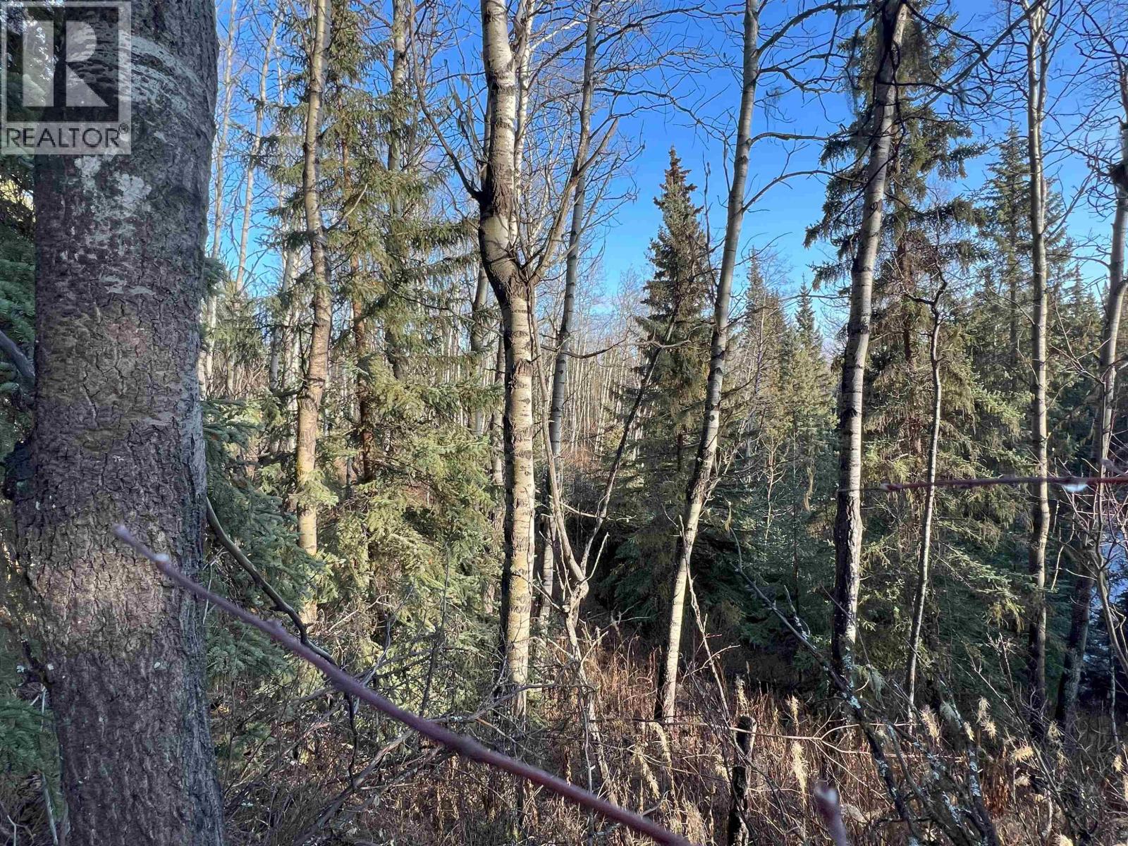 5 CLEARVIEW Drive, Burns Lake