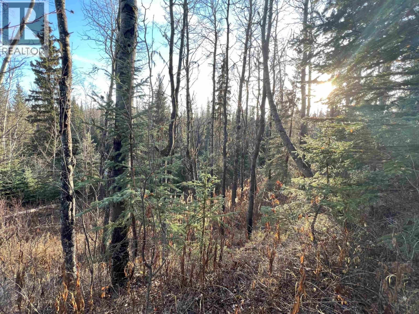 5 CLEARVIEW Drive, Burns Lake