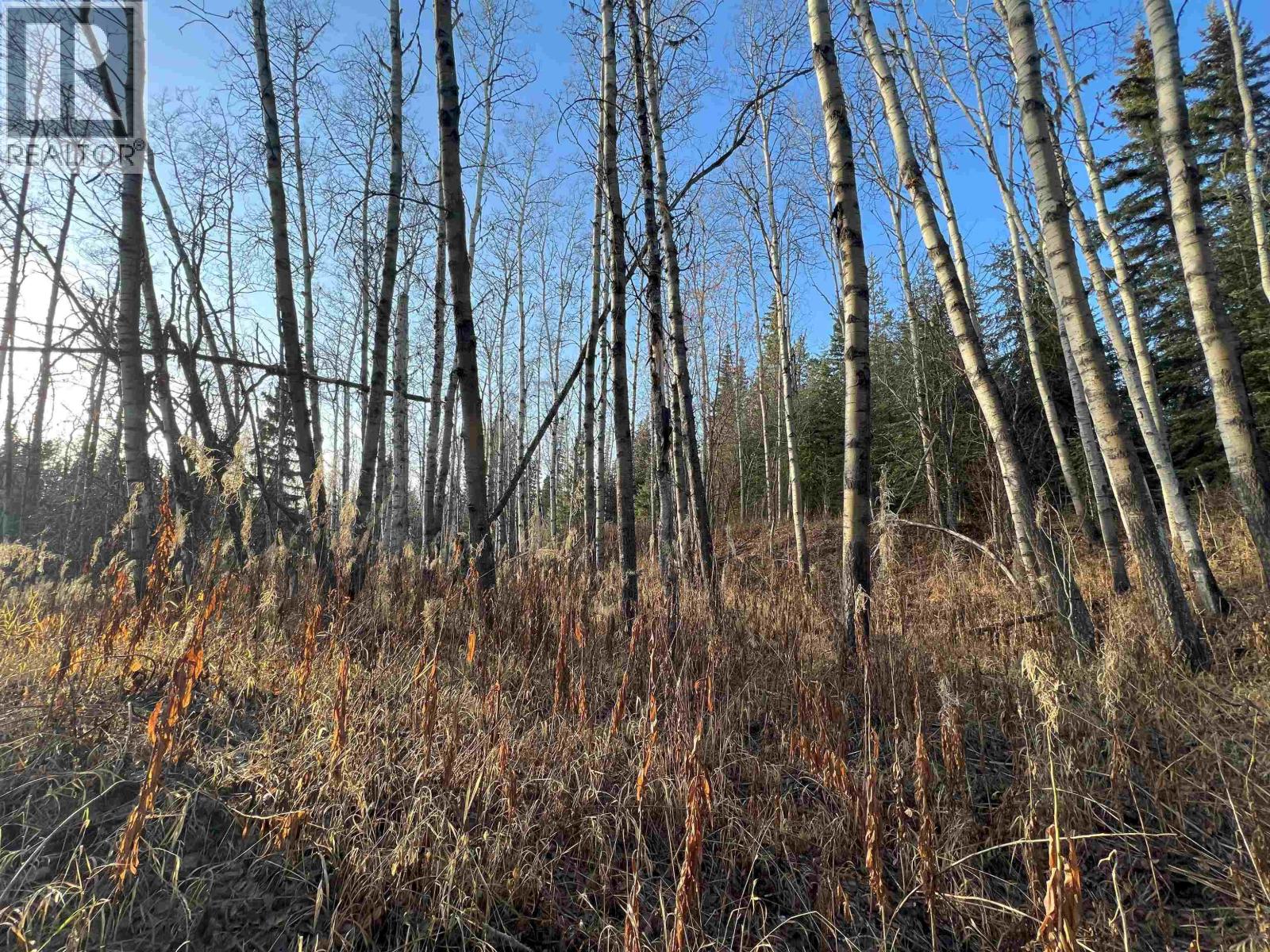 5 CLEARVIEW Drive, Burns Lake