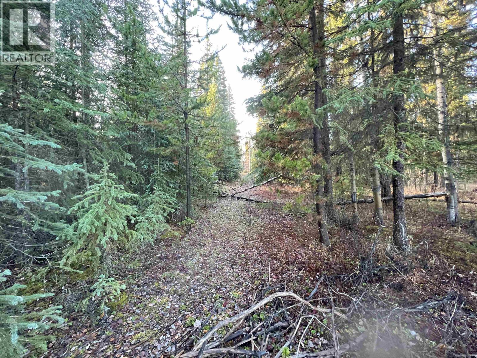 5 CLEARVIEW Drive, Burns Lake