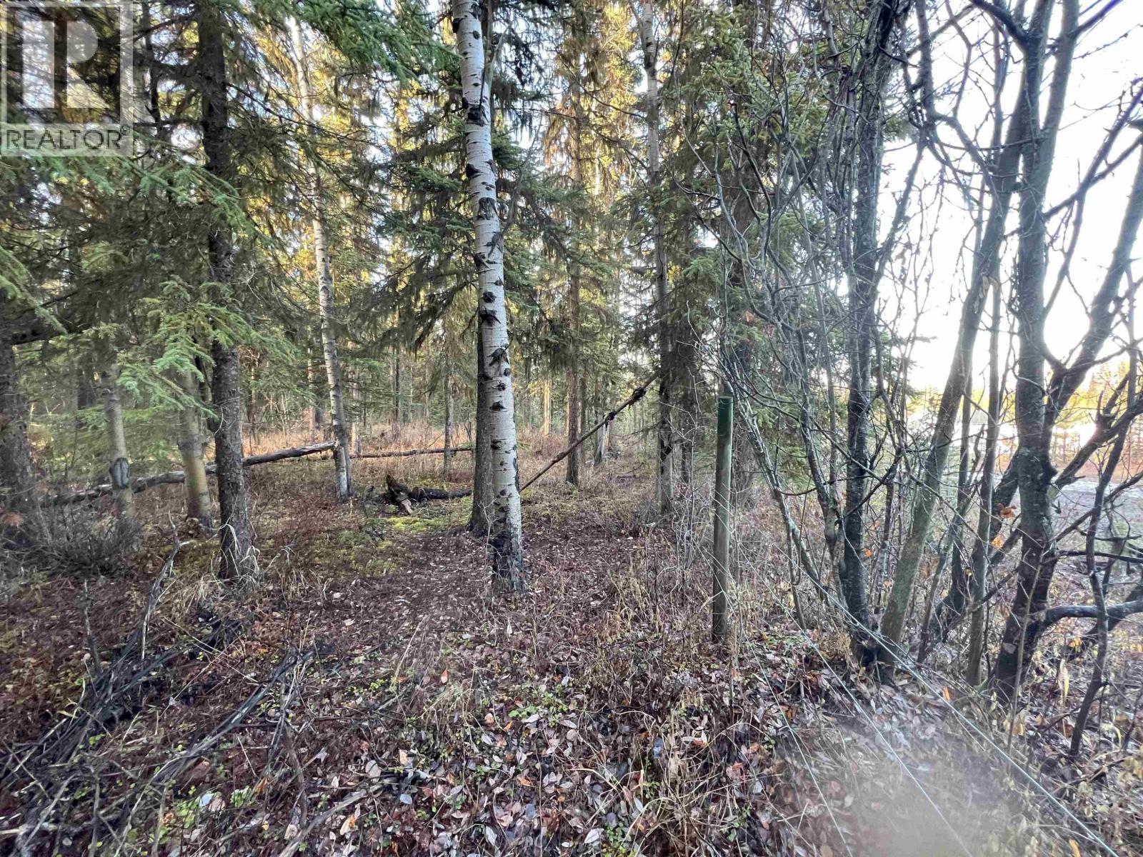 5 CLEARVIEW Drive, Burns Lake