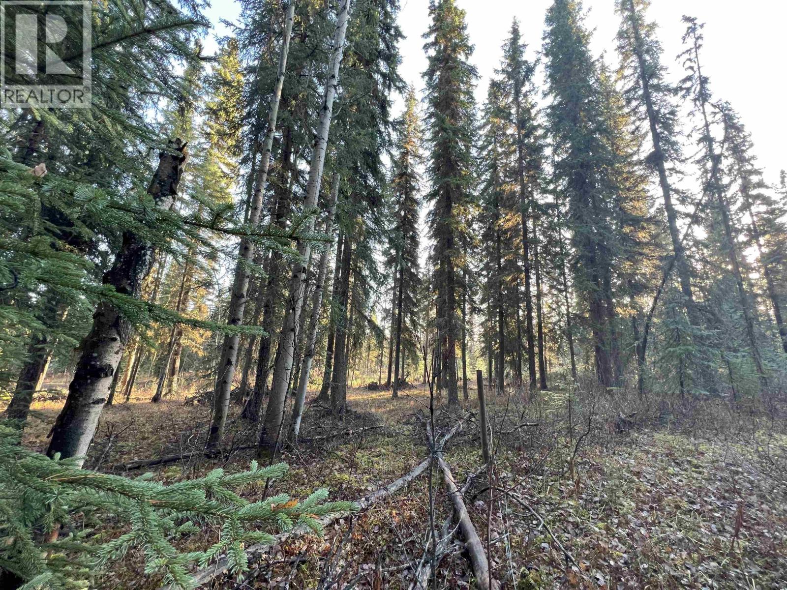 5 CLEARVIEW Drive, Burns Lake