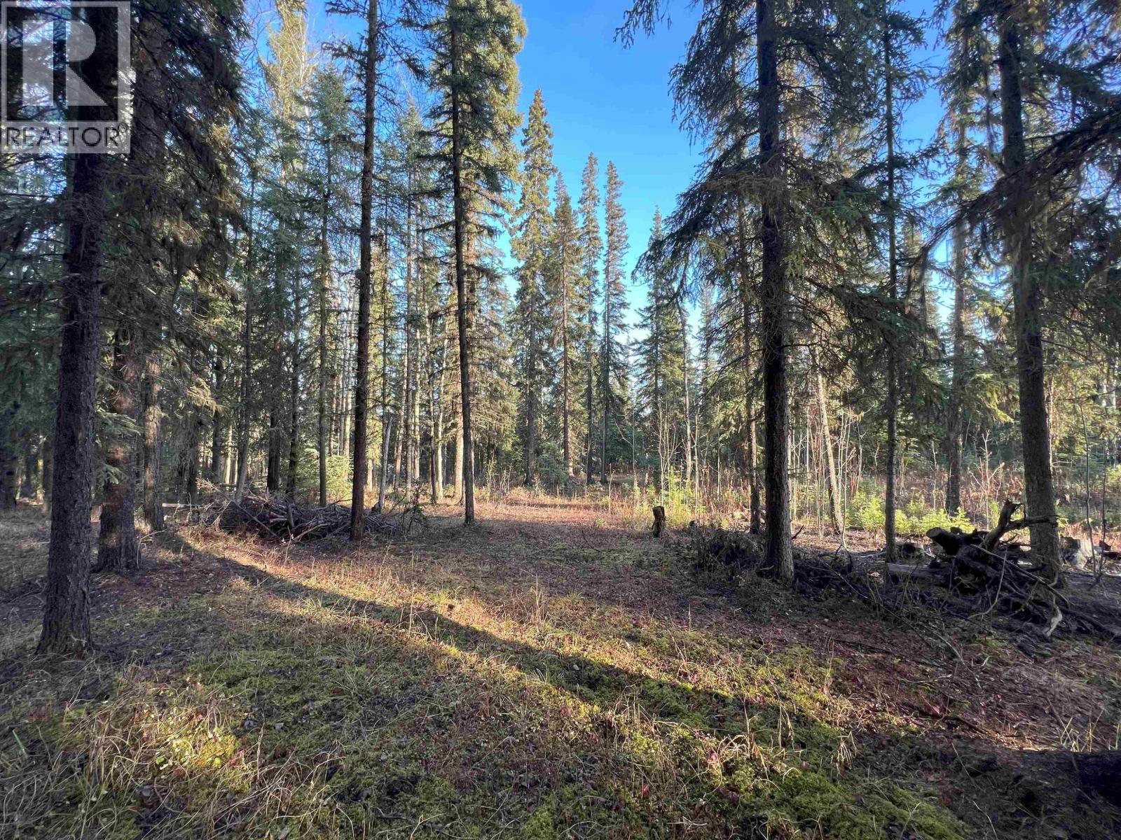 5 CLEARVIEW Drive, Burns Lake