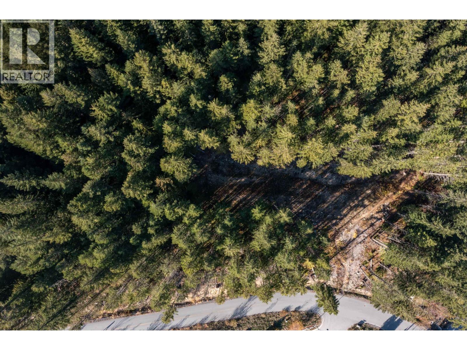 Vacant Land for Sale in Whistler – 8594 ASHLEIGH MCIVOR DRIVE, Whistler - Image 7