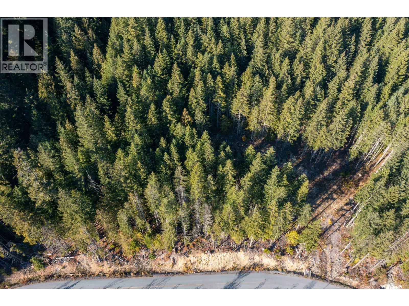 Vacant Land for Sale in Whistler – 8594 ASHLEIGH MCIVOR DRIVE, Whistler - Image 8