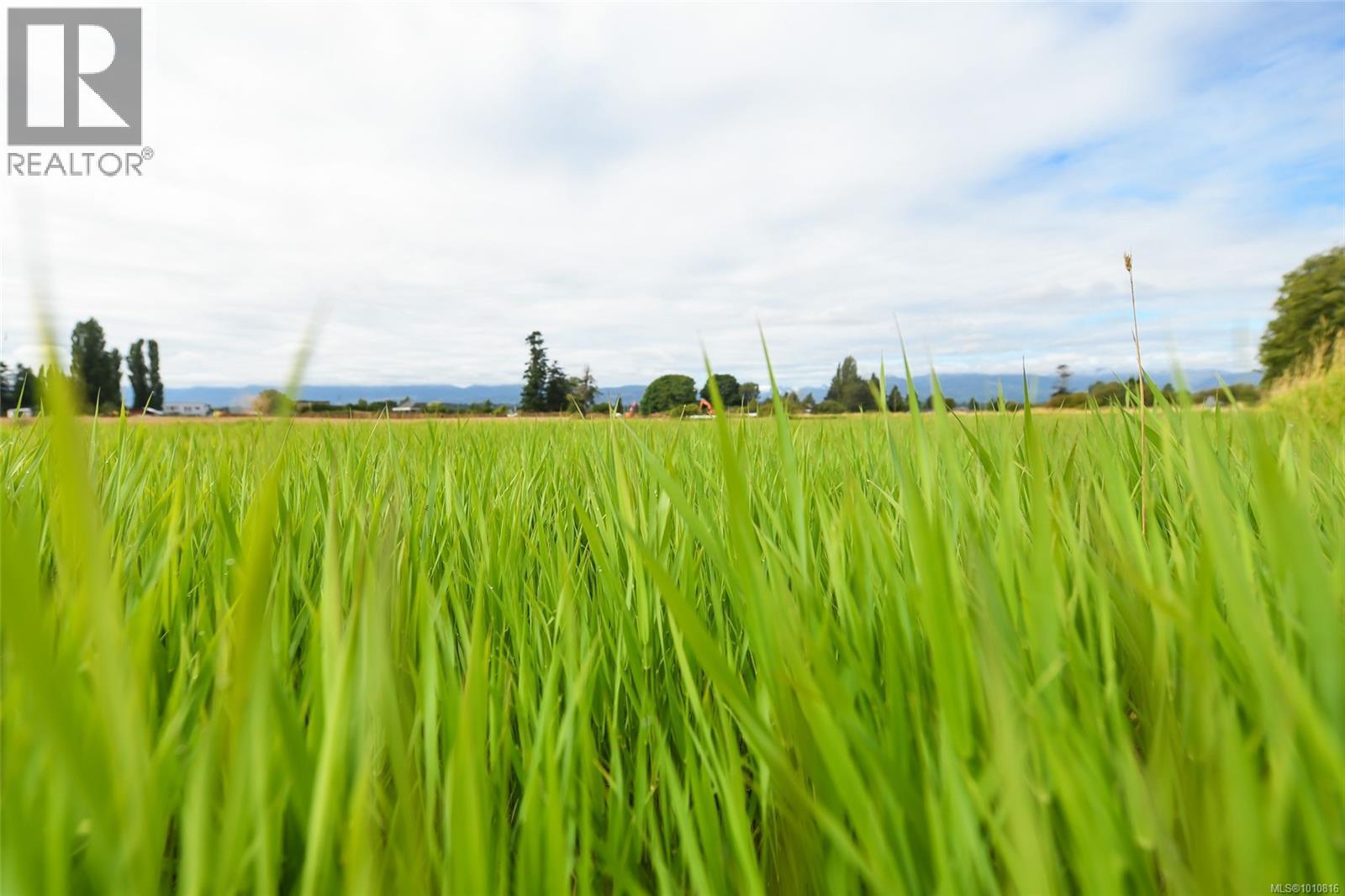 Vacant Land for Sale in Comox – Lot 6 Comox Rd - Image 15