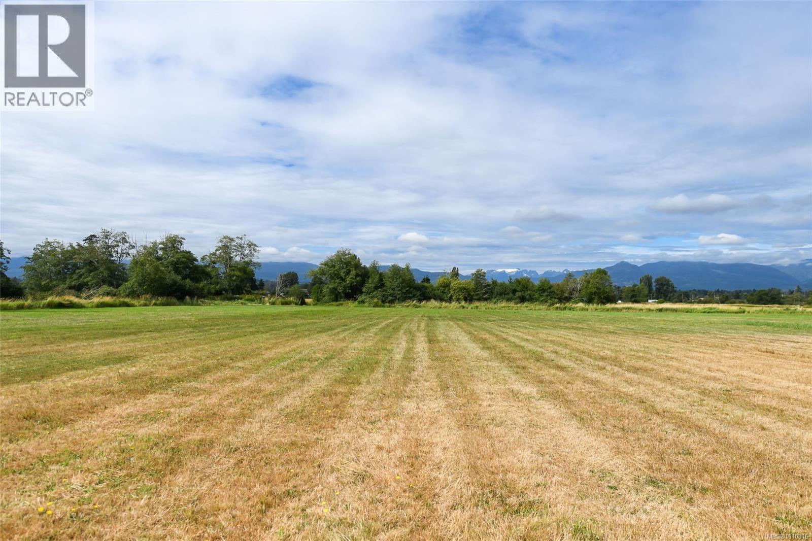 Vacant Land for Sale in Comox – Lot 6 Comox Rd - Image 4