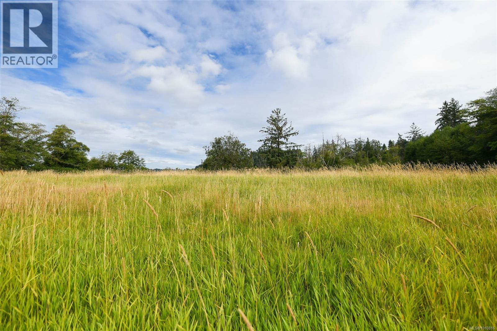 Vacant Land for Sale in Comox – Lot 6 Comox Rd - Image 33