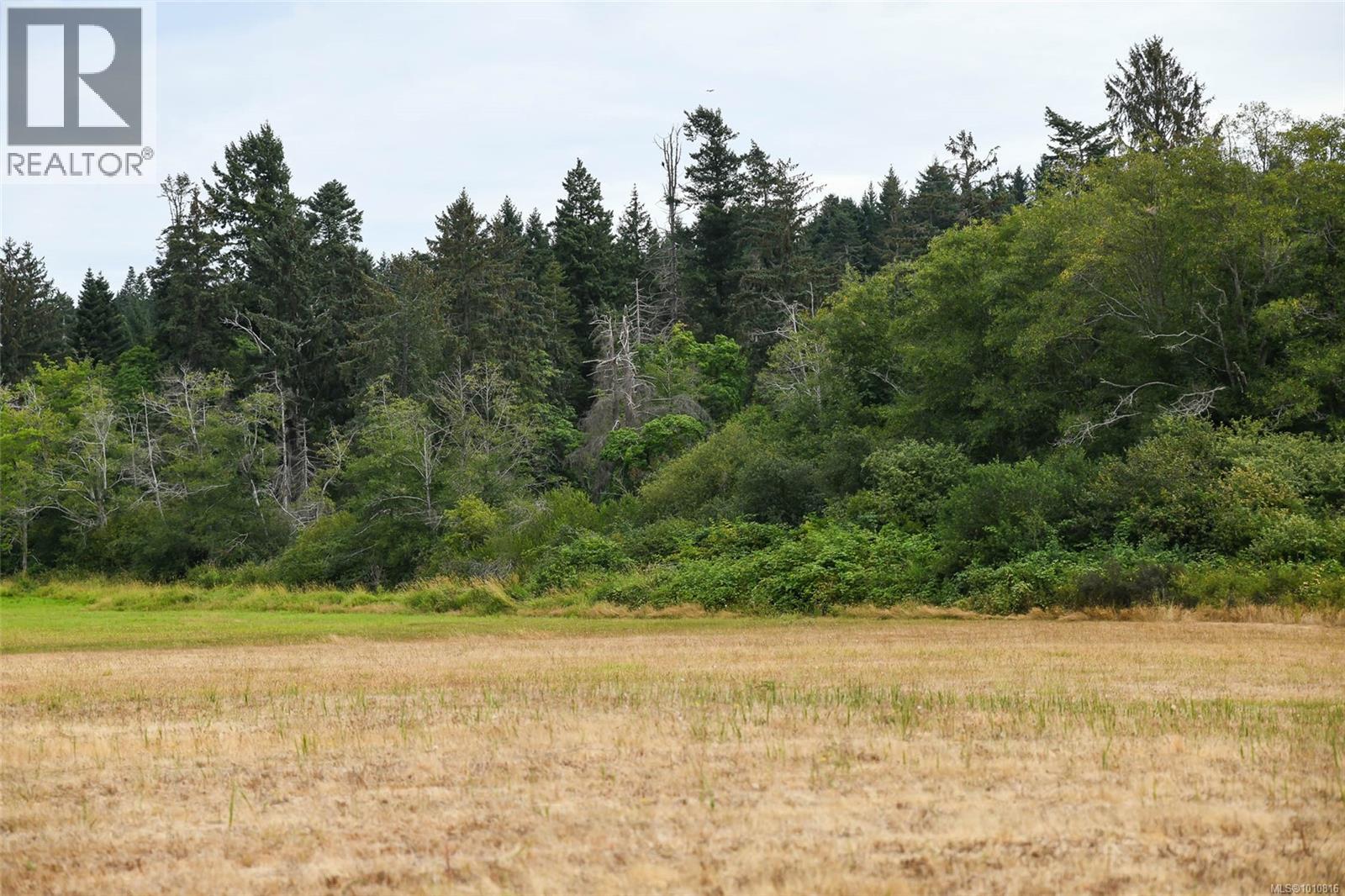 Vacant Land for Sale in Comox – Lot 6 Comox Rd - Image 14