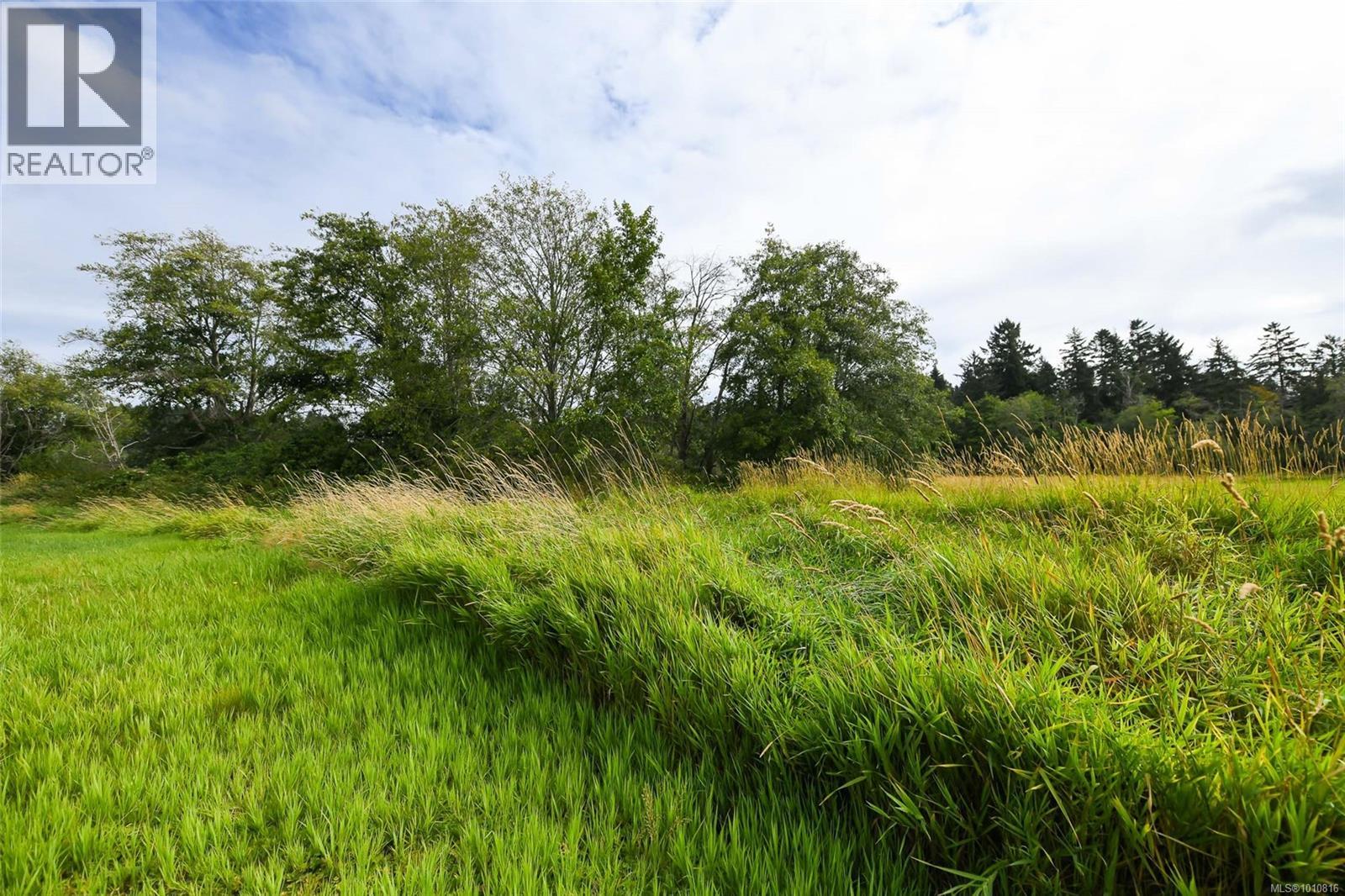 Vacant Land for Sale in Comox – Lot 6 Comox Rd - Image 45