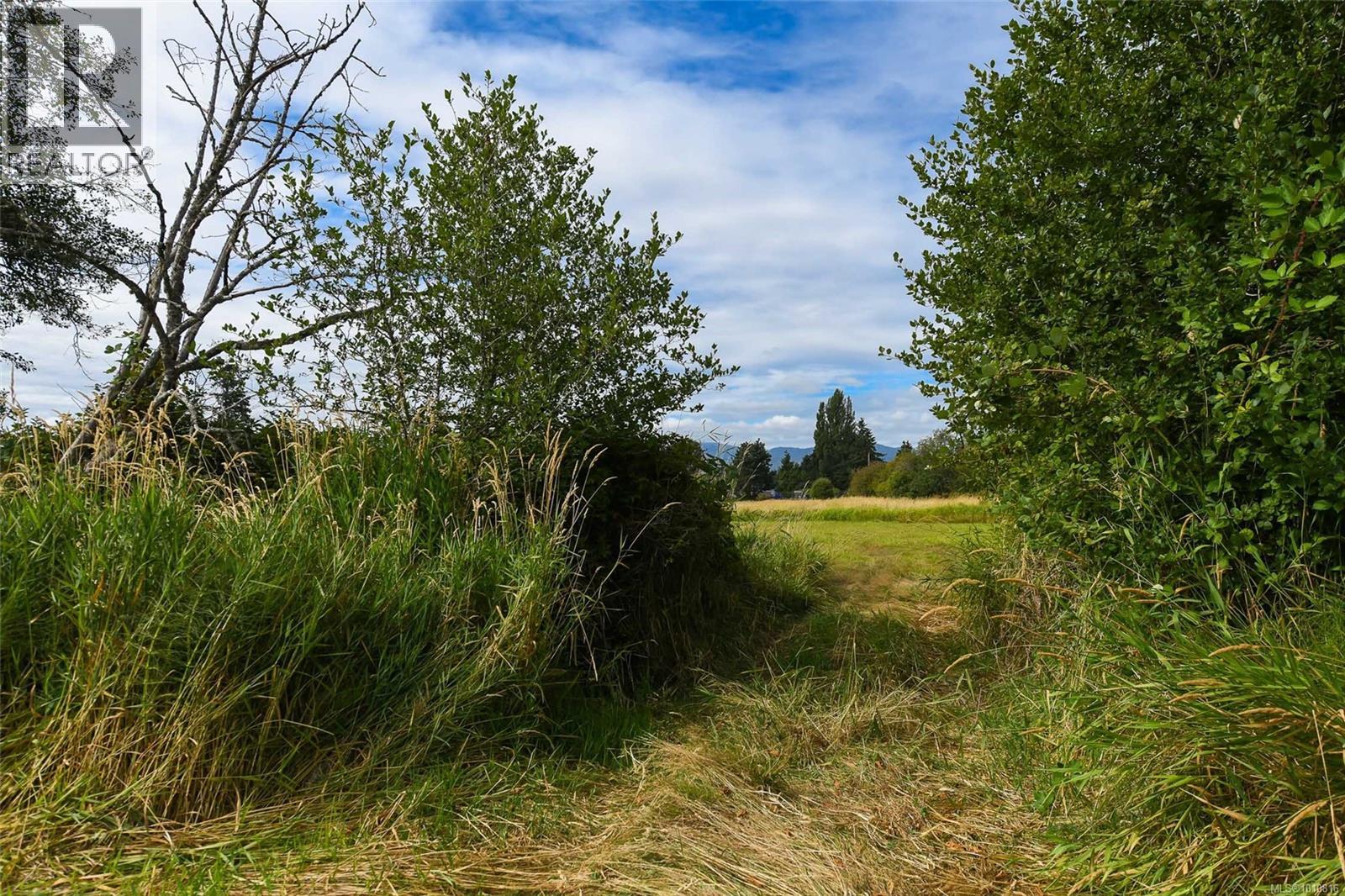 Vacant Land for Sale in Comox – Lot 6 Comox Rd - Image 10