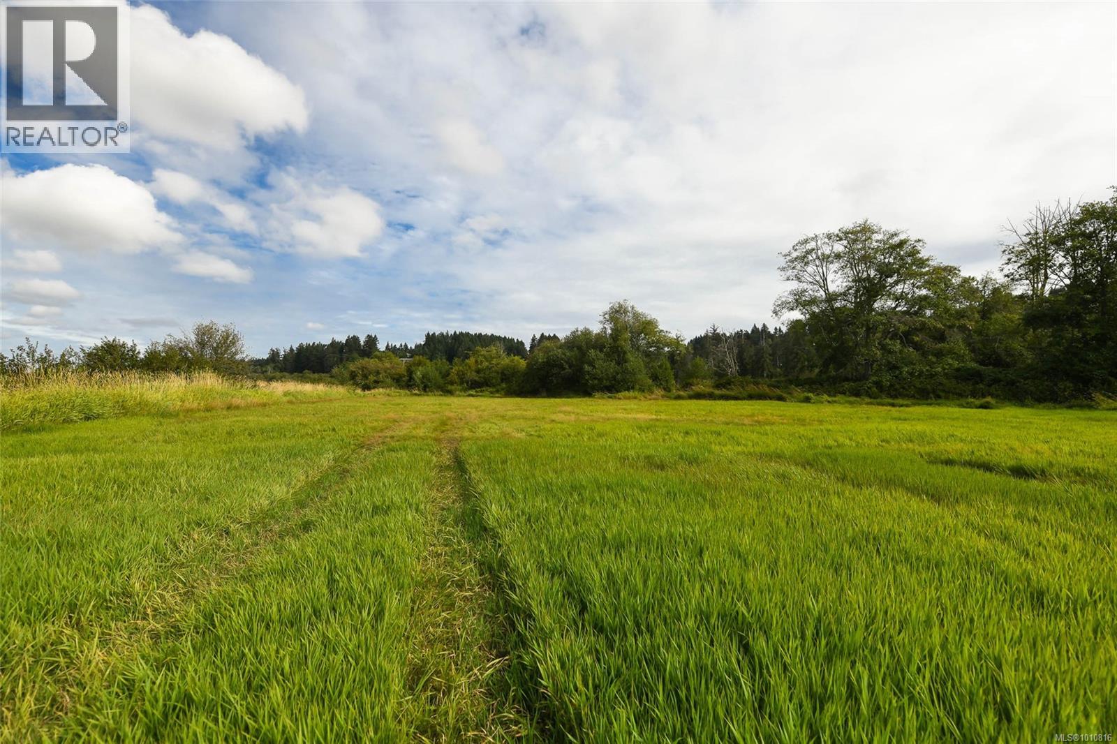 Vacant Land for Sale in Comox – Lot 6 Comox Rd - Image 30