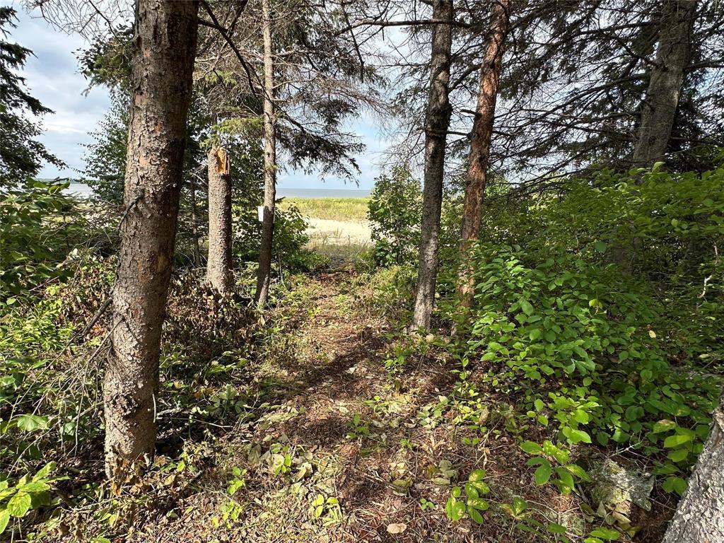 Photo 1 of 8 Bella Dan Avenue, Victoria Beach MB
