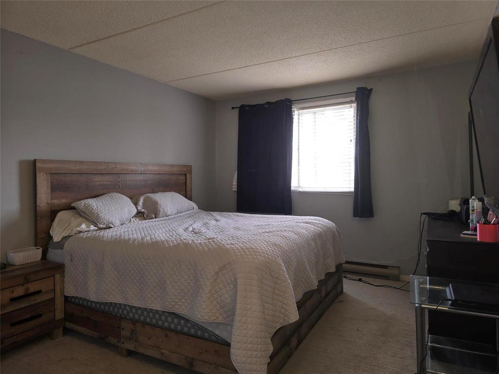 Photo 5 of 205 261 Queen Street, Winnipeg MB