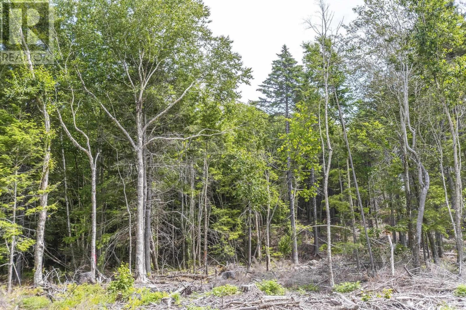 Property 43 of 49 of Lot 1 Bull Lake Road