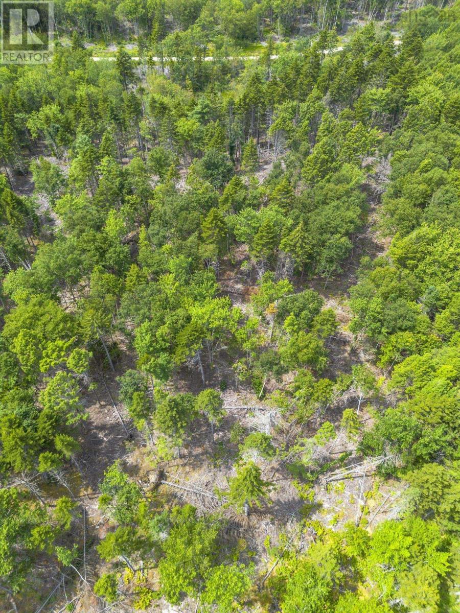 Property 21 of 49 of Lot 1 Bull Lake Road