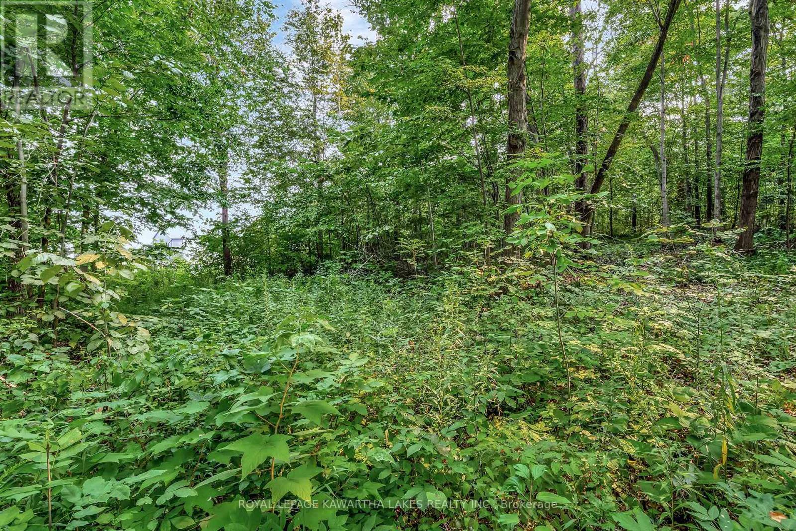 Photo 5 of 0 Cottingham Road, Kawartha Lakes ON