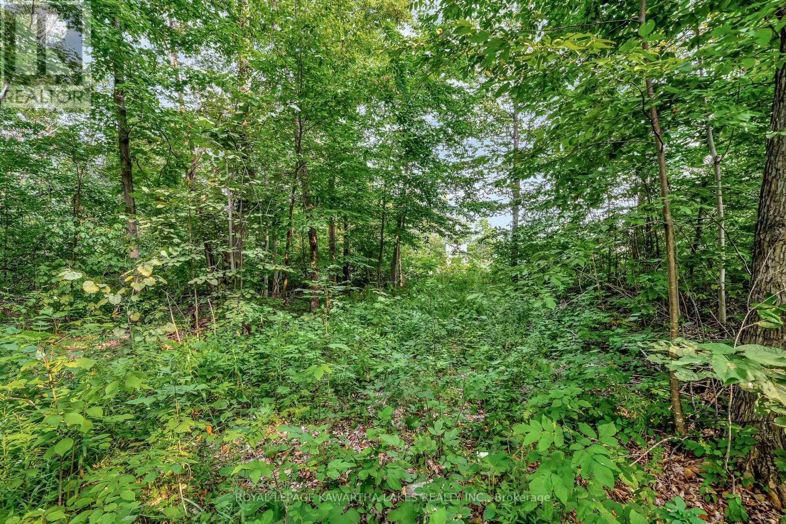 Photo 1 of 0 Cottingham Road, Kawartha Lakes ON