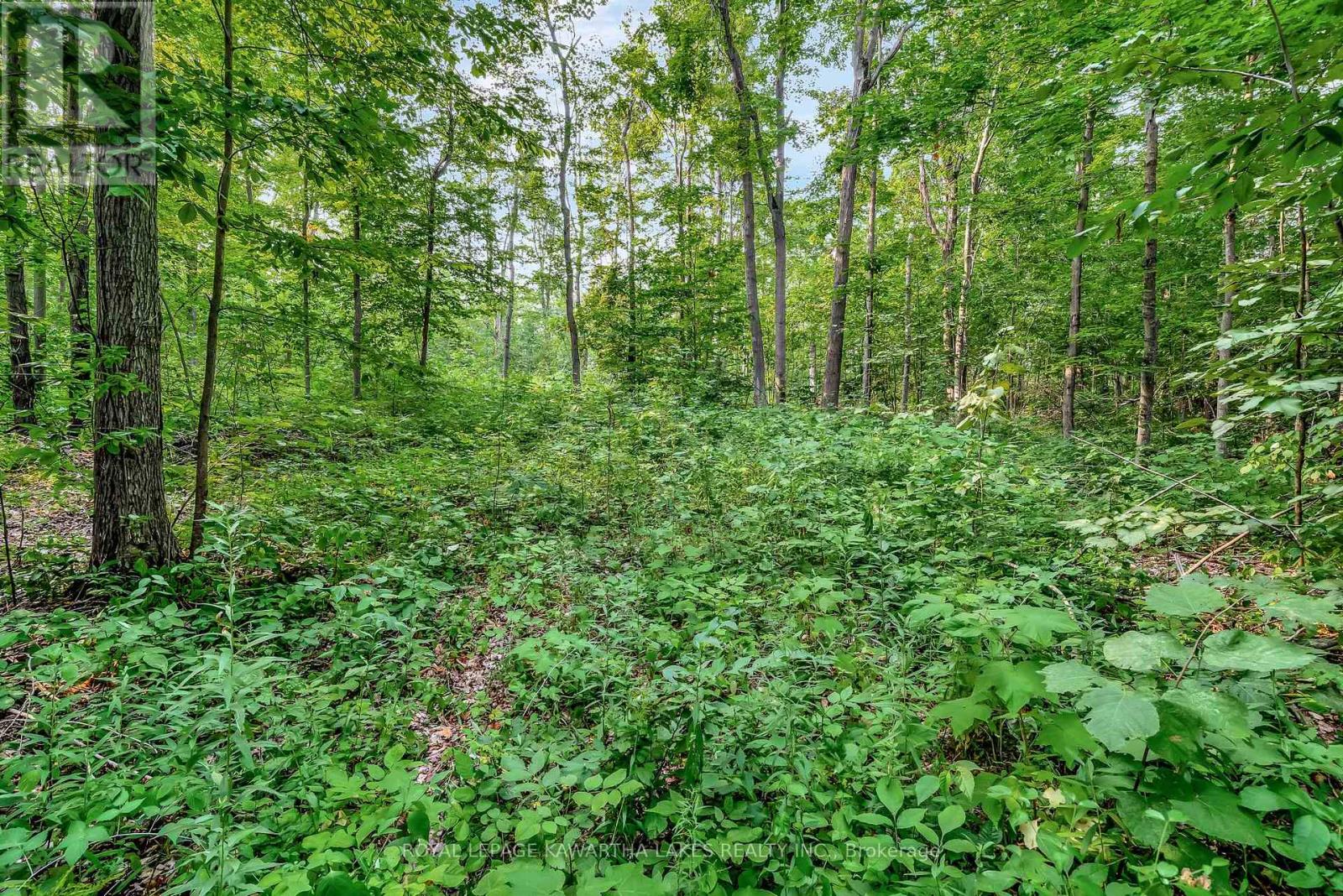 Photo 11 of 0 Cottingham Road, Kawartha Lakes ON