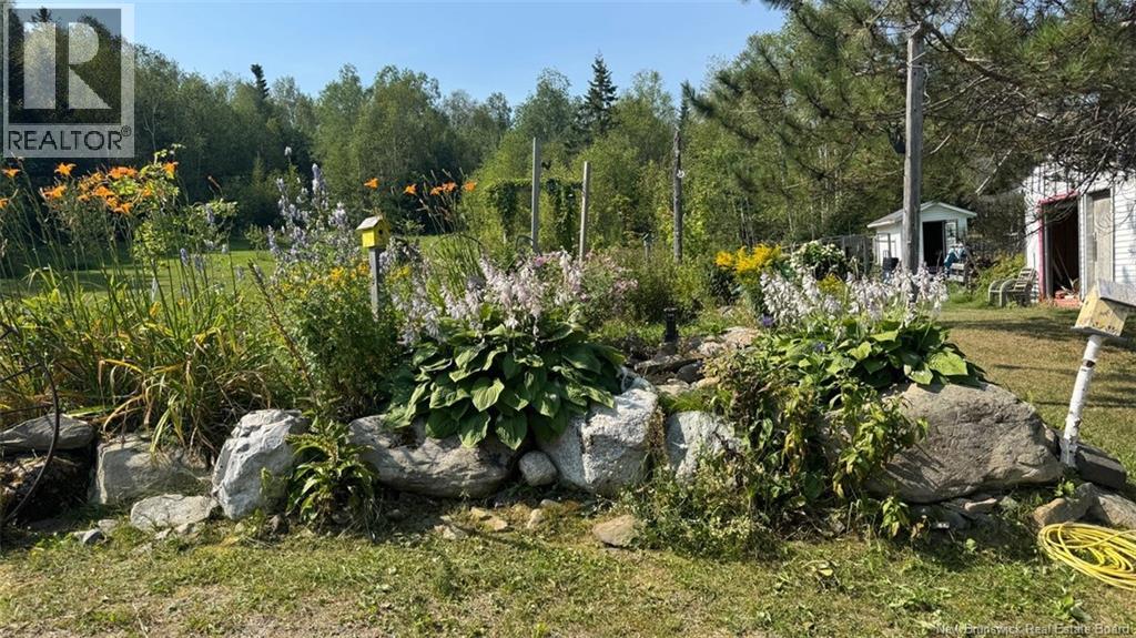 402 ROUSSEL MARTIN ROAD - 21