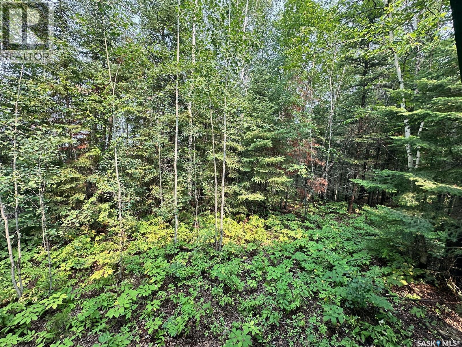 Bainbridge Cabin — photo 11