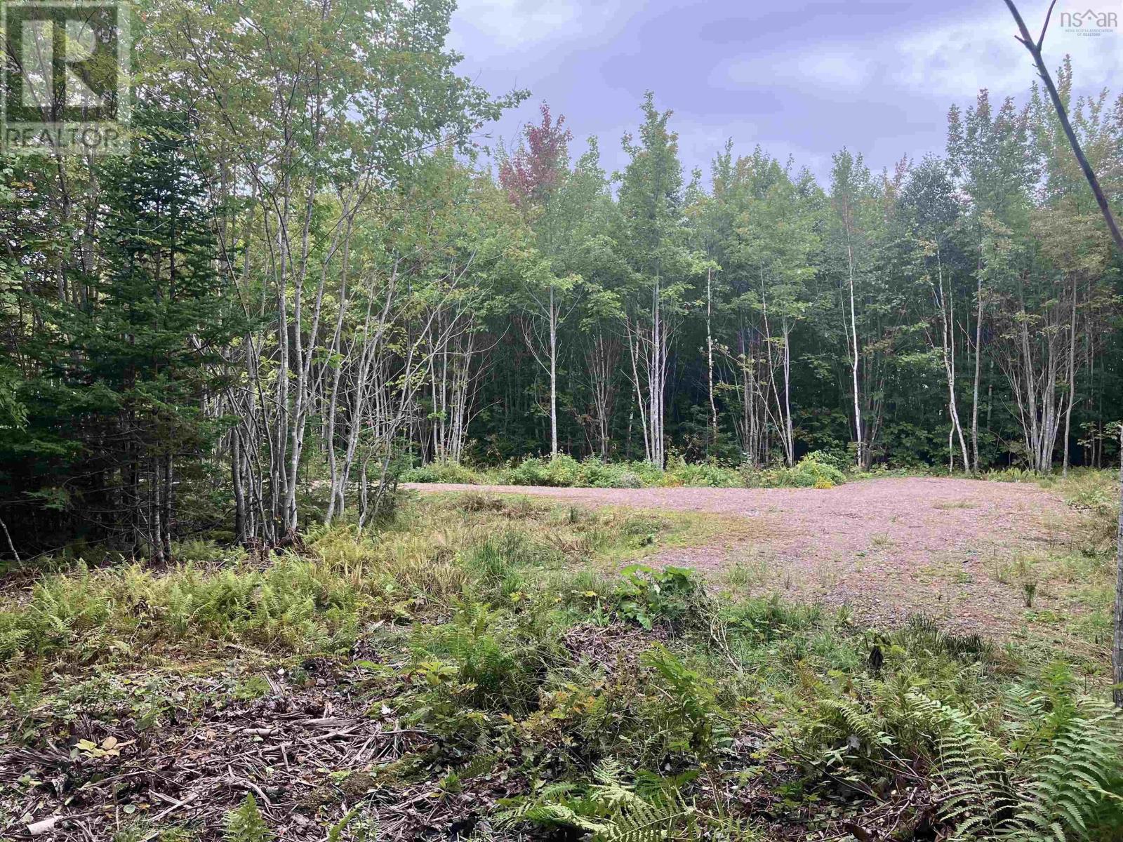 Property 4 of 10 of Lot 2020-5 Highway 223