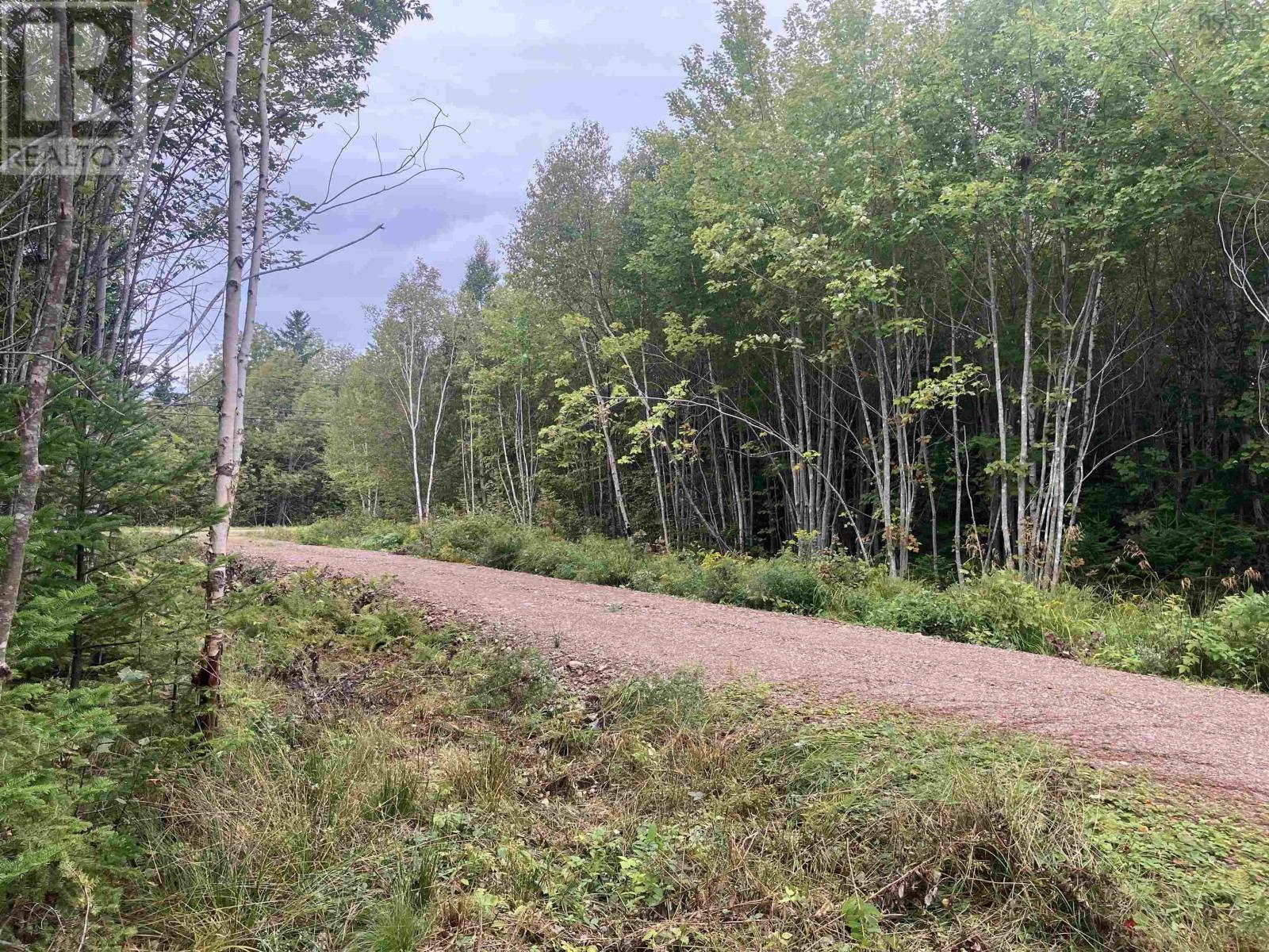 Property 6 of 10 of Lot 2020-5 Highway 223