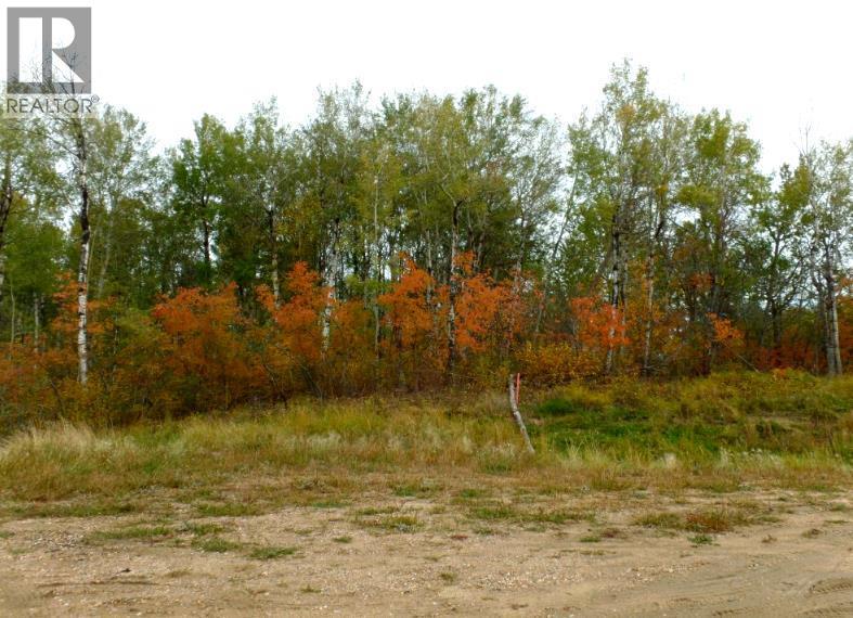 811 Poplar Point, Rural Lac La Biche County