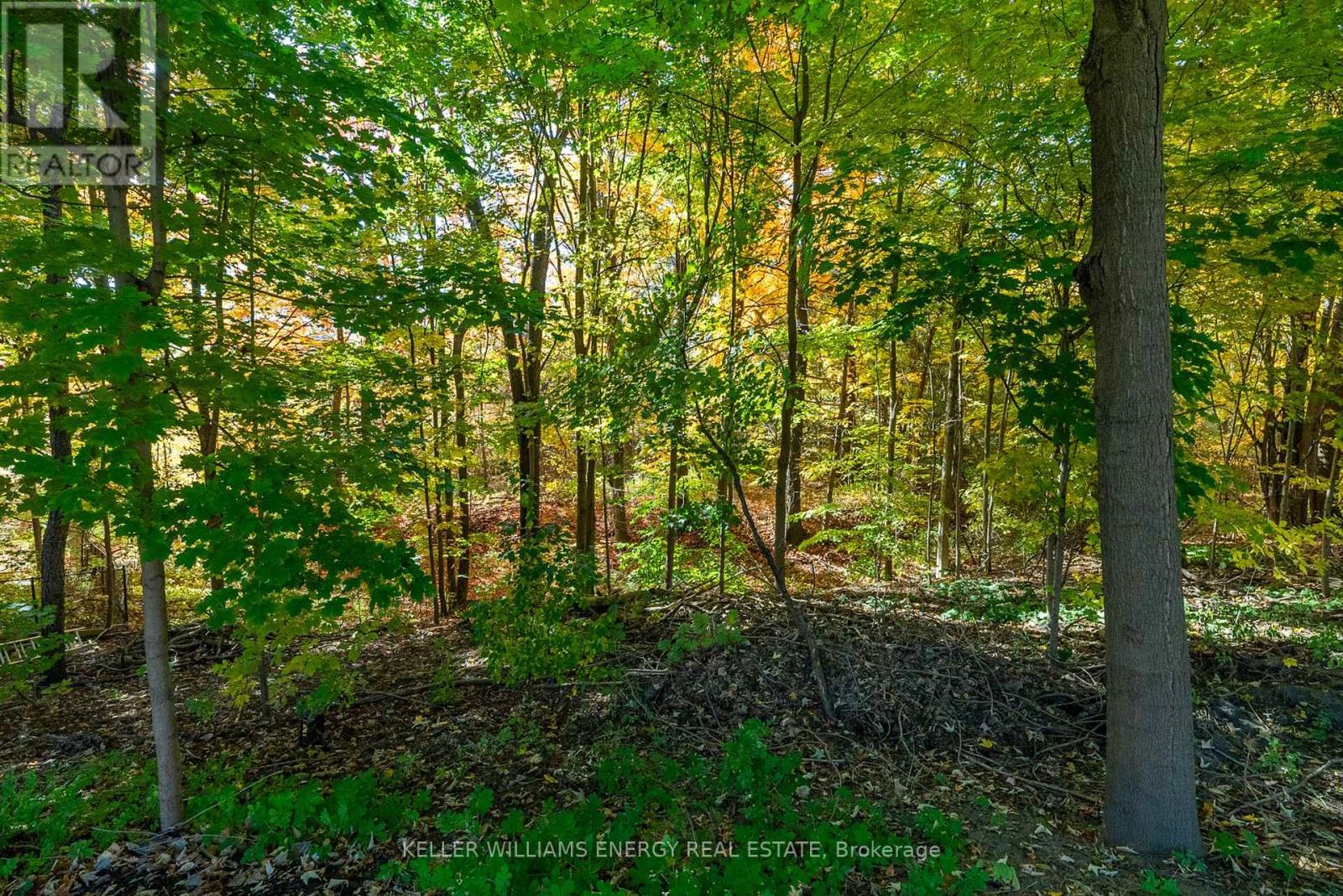Photo 24 of 807 Regal Crescent, Pickering ON