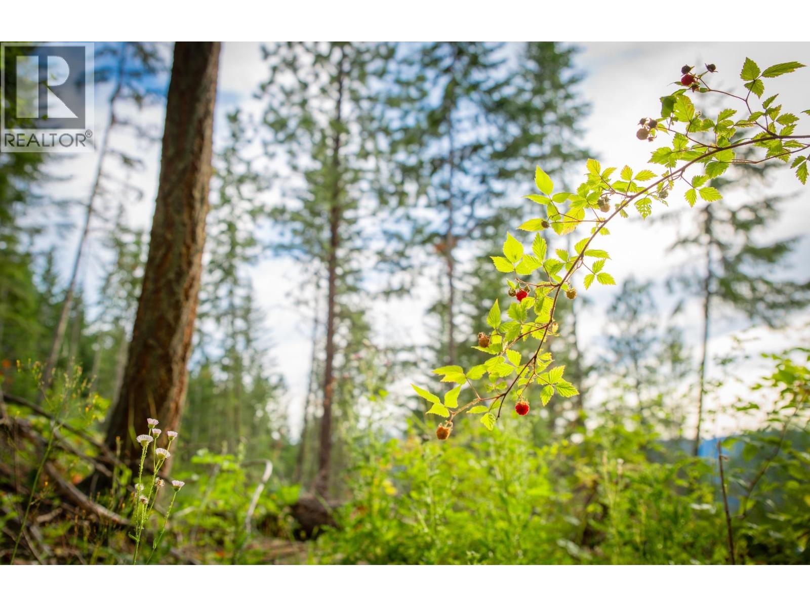  5617 Oyama Lake Road, Lake Country
