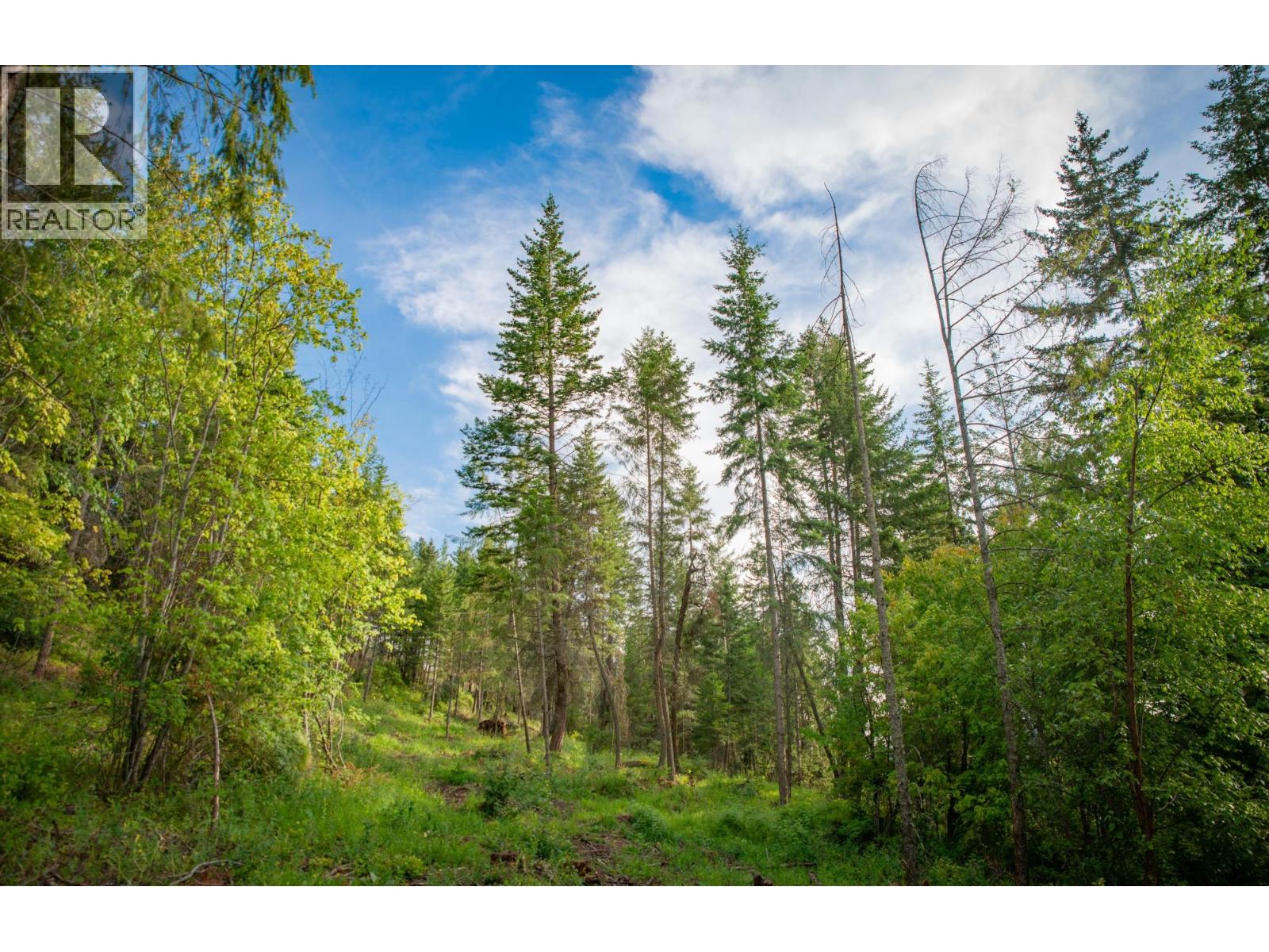  5617 Oyama Lake Road, Lake Country