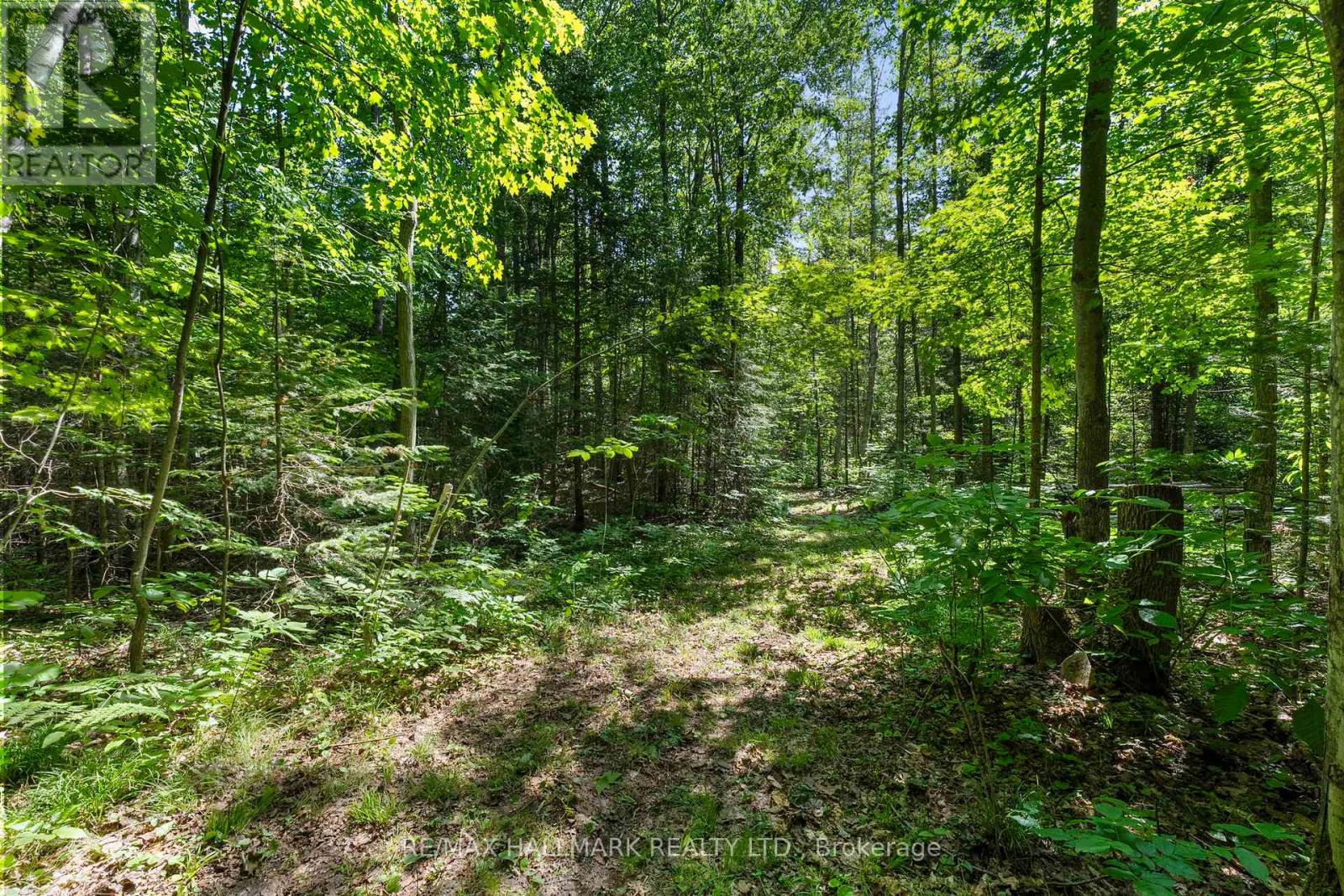 Photo 3 of 24093 Weirs Side Road, Georgina ON