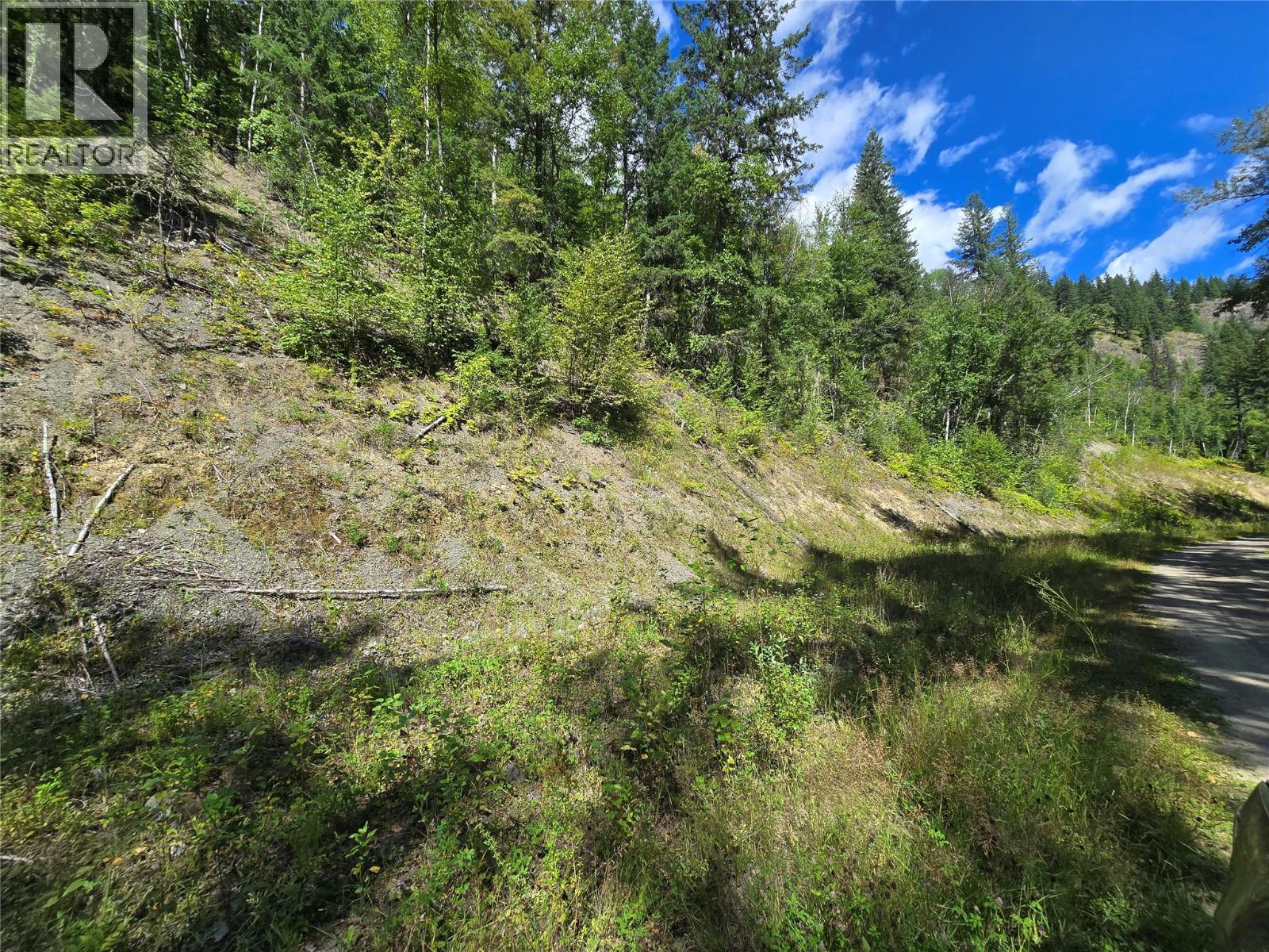 3418 ROUNDTOP ROAD - 9