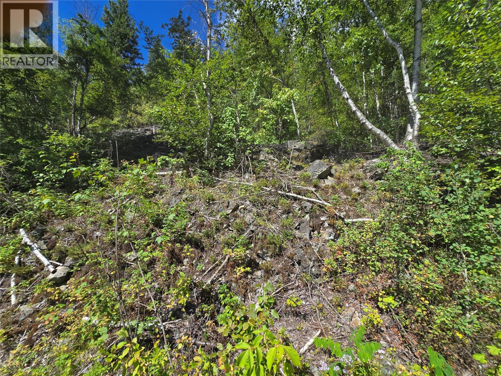 3418 ROUNDTOP ROAD - 11