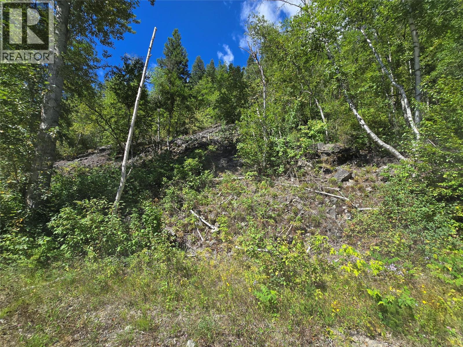 3418 ROUNDTOP ROAD - 10