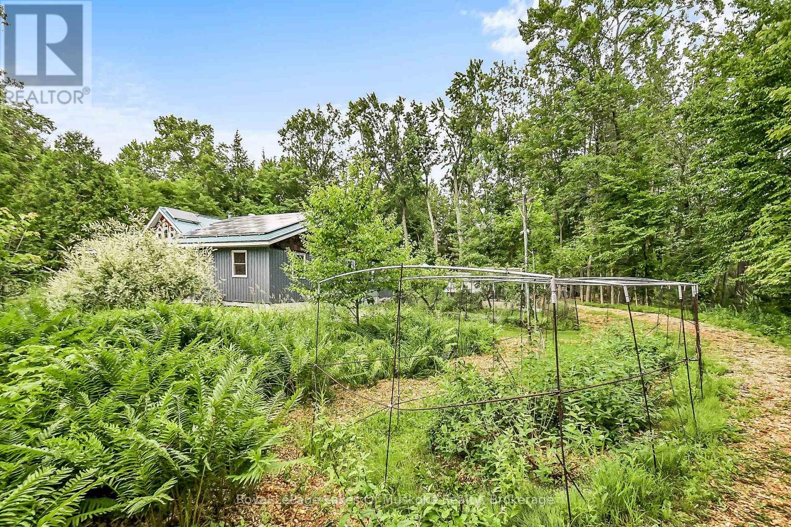 Photo 14 of 1005 Kirbys Beach Road, Bracebridge ON