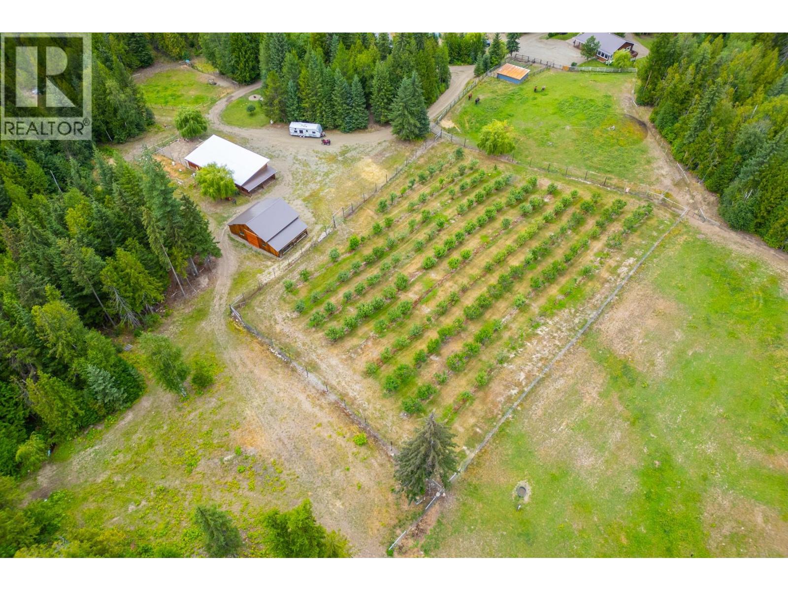 Photo 4 of 380 Richlands Road, Cherryville BC