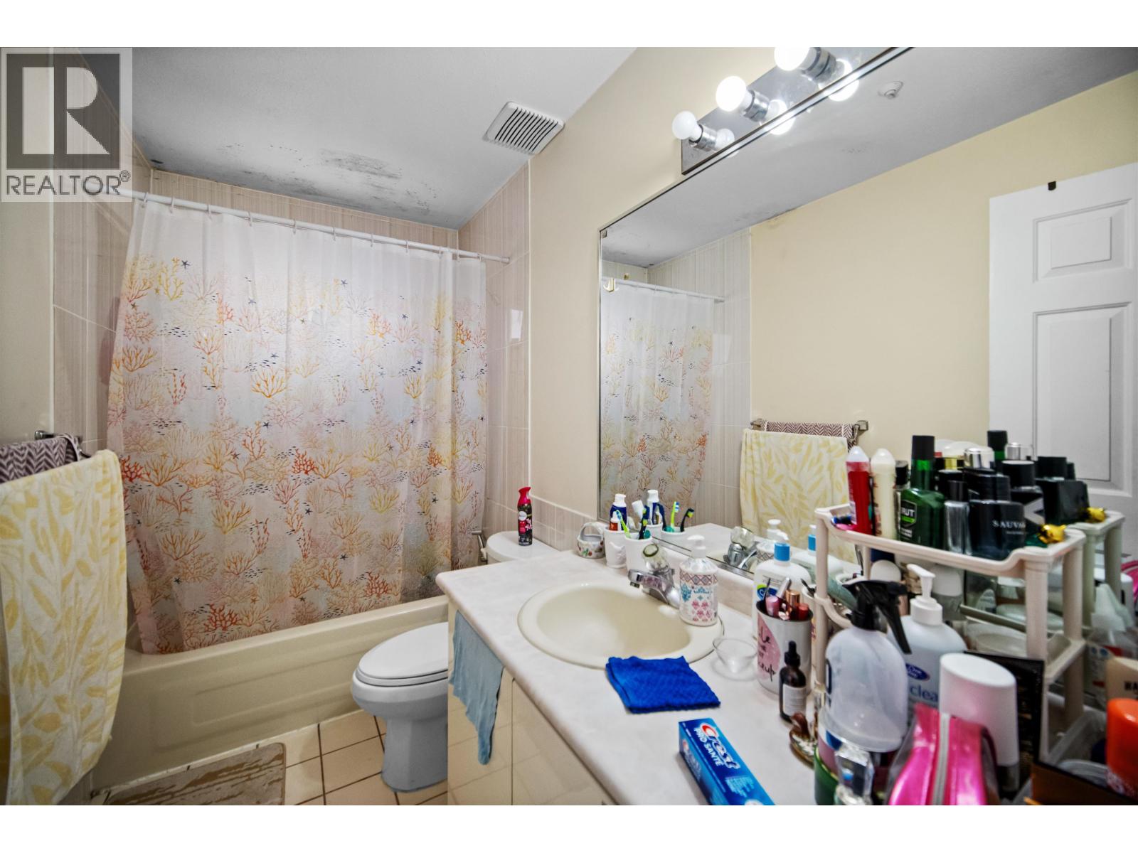 Photo 24 of 248 E 59th Avenue, Vancouver BC