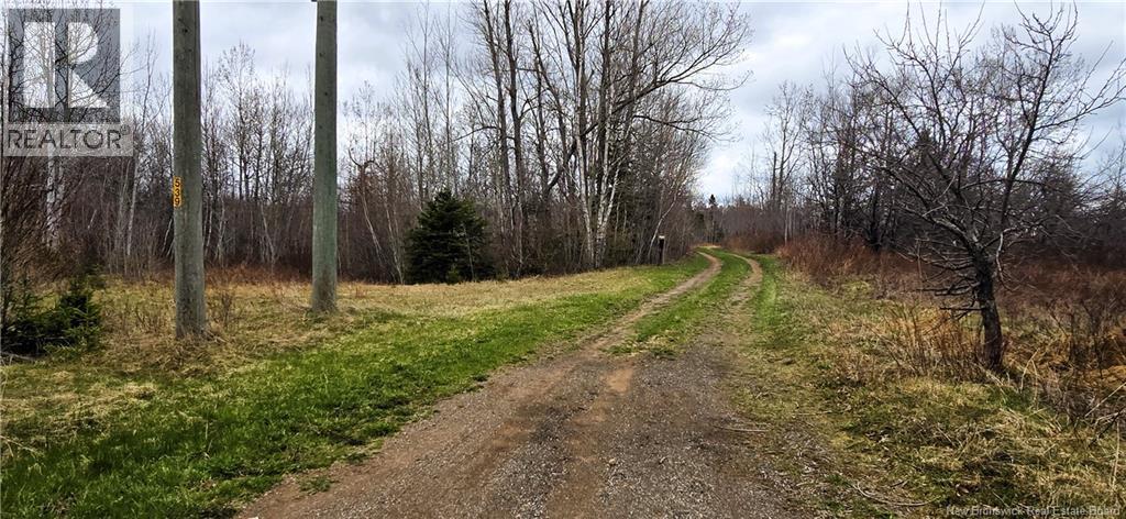 Photo 2 of 94 Acres Chemin Pallot, Inkerman NB