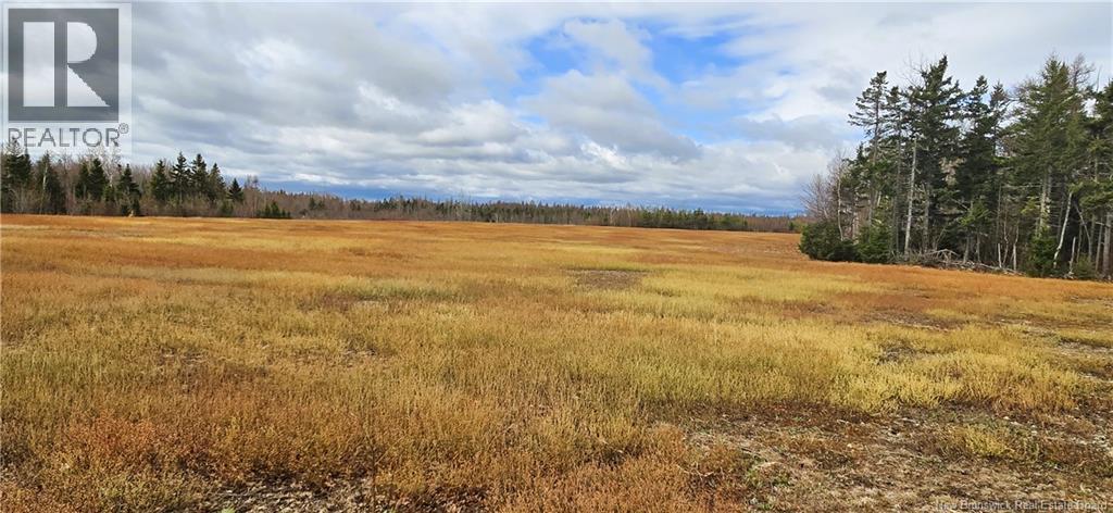 Photo 4 of 94 Acres Chemin Pallot, Inkerman NB