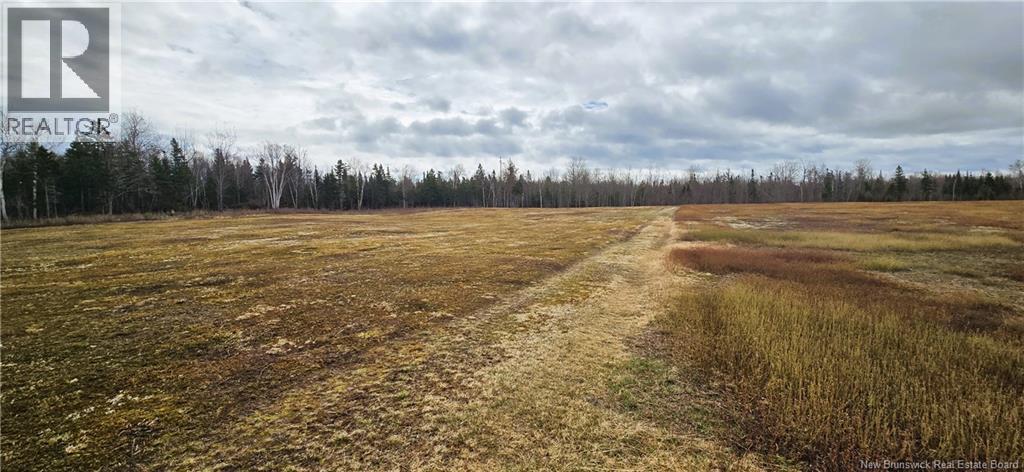 Photo 6 of 94 Acres Chemin Pallot, Inkerman NB