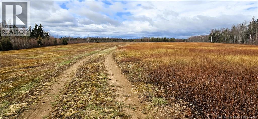 Photo 7 of 94 Acres Chemin Pallot, Inkerman NB