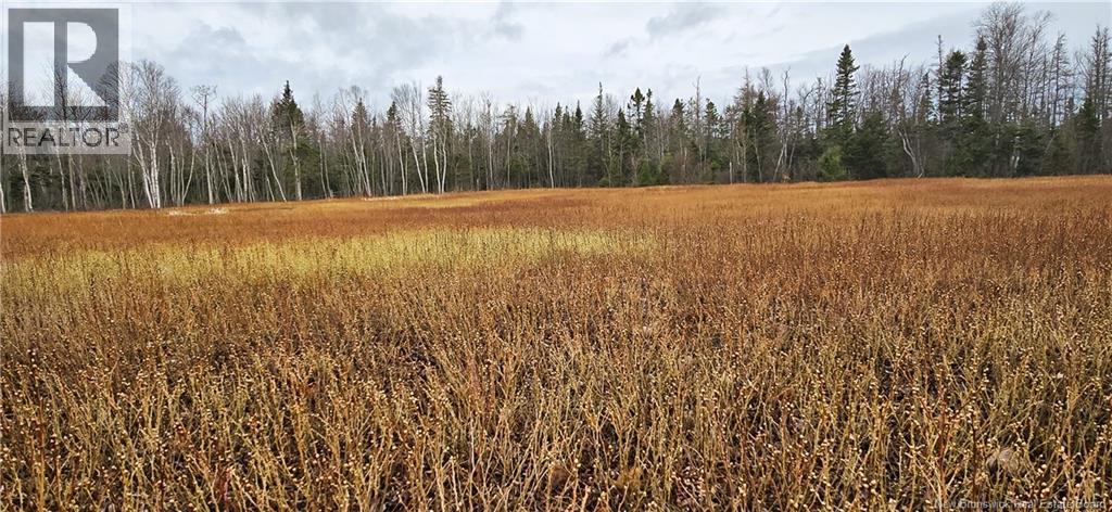 Photo 3 of 94 Acres Chemin Pallot, Inkerman NB