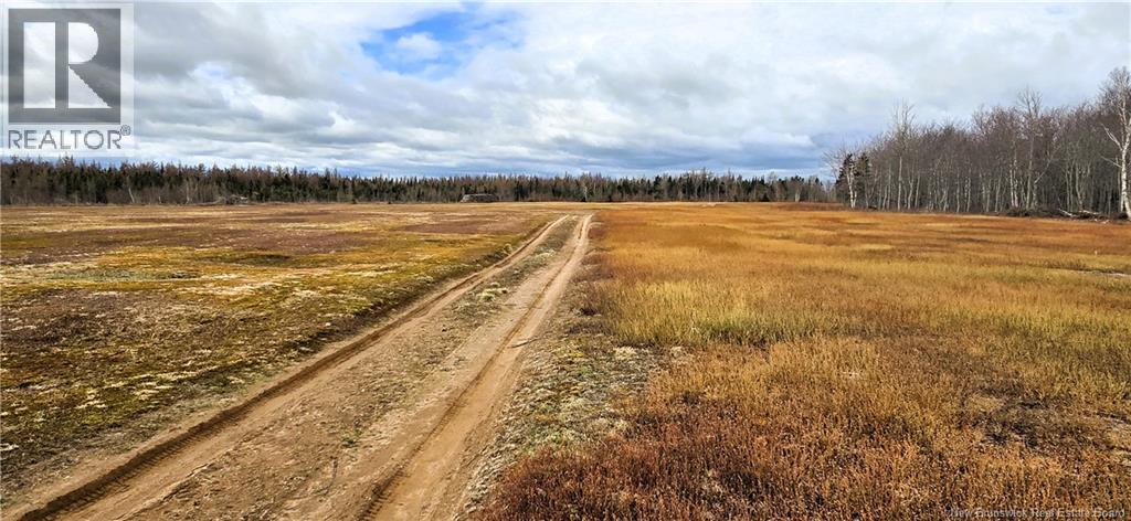 Photo 5 of 94 Acres Chemin Pallot, Inkerman NB