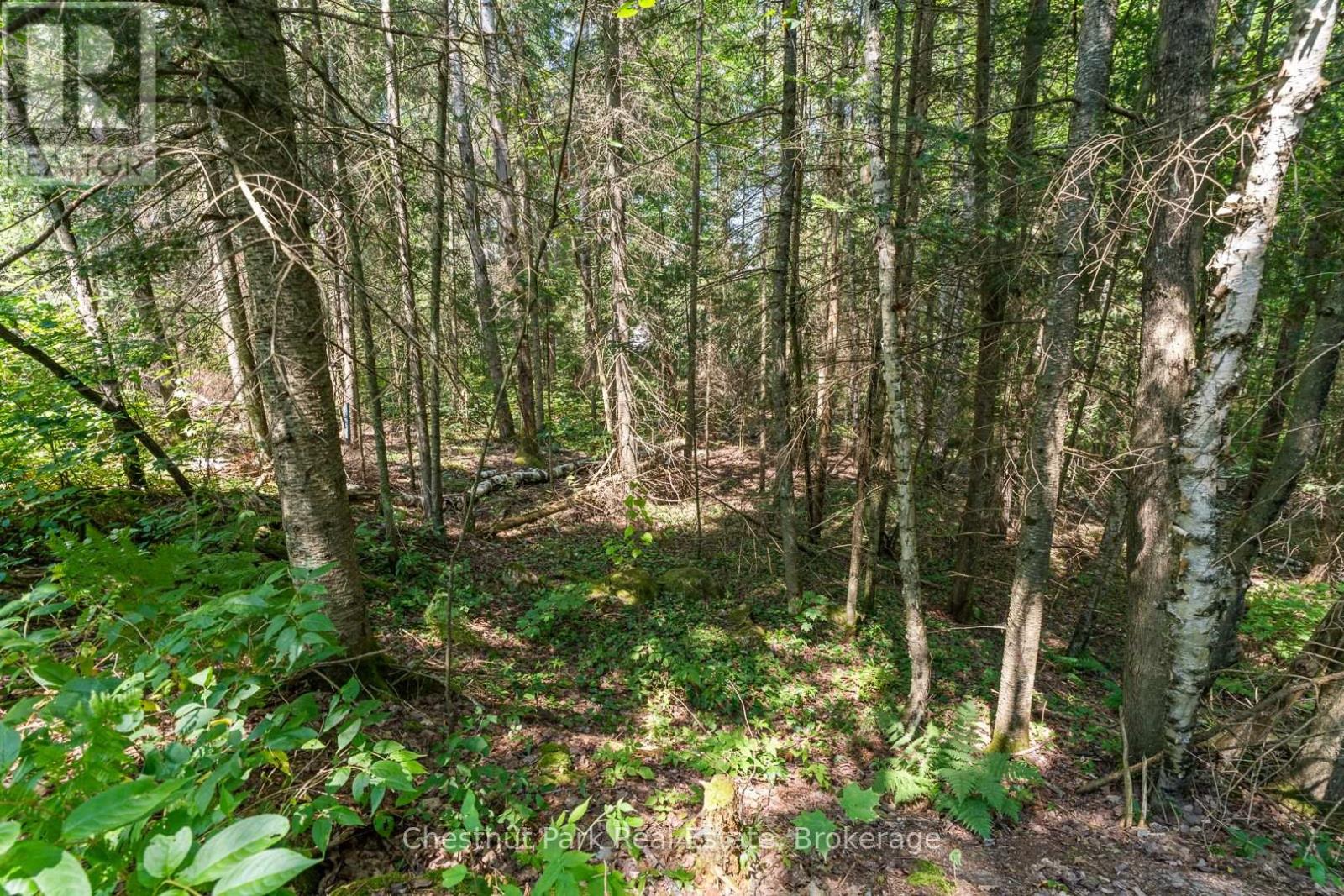 Photo 47 of 25 Eagle Lake Road, South River ON