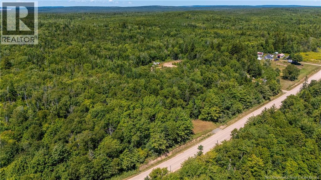 Woodlot Route 935