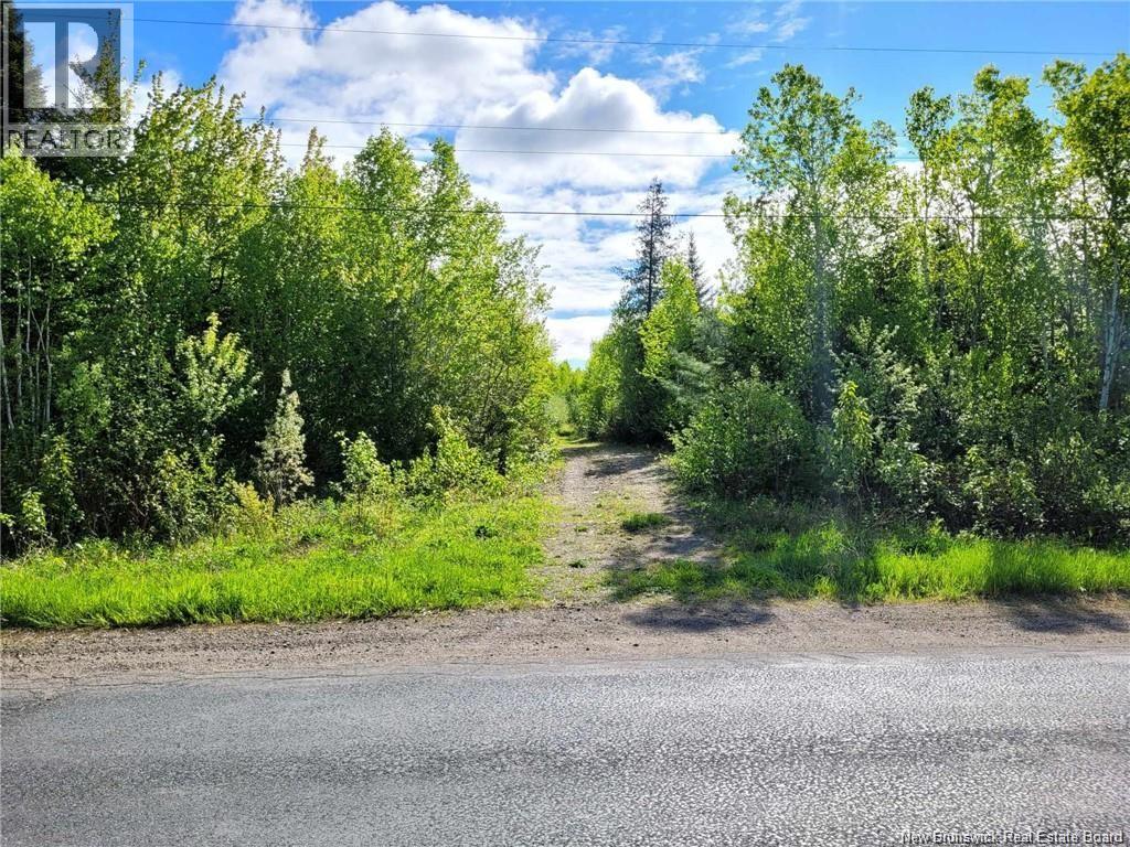 Photo 3 of 55 77 Acres Route 11, Madran NB