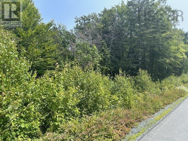 Photo 1 of Lot Beech Hill Road, Beech Hill Farms NS