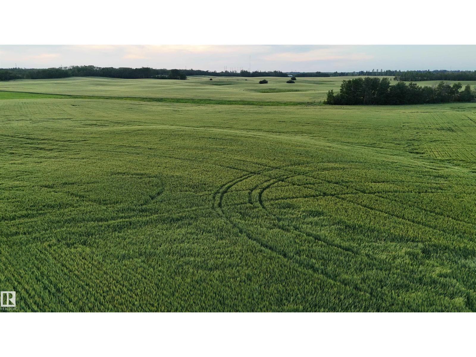 Photo 9 of 51411 Rr 233, Rural Strathcona County AB