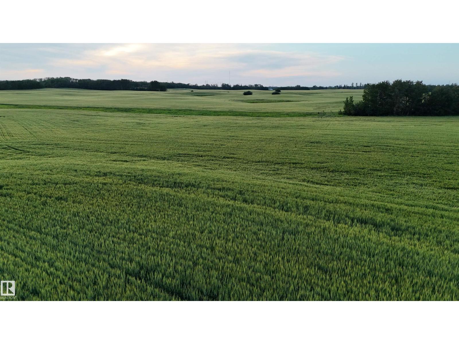 Photo 3 of 51411 Rr 233, Rural Strathcona County AB